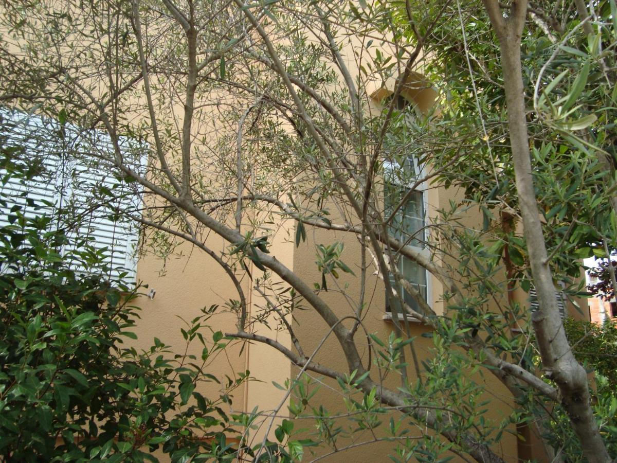 זאדאר Apartments Eja מראה חיצוני תמונה