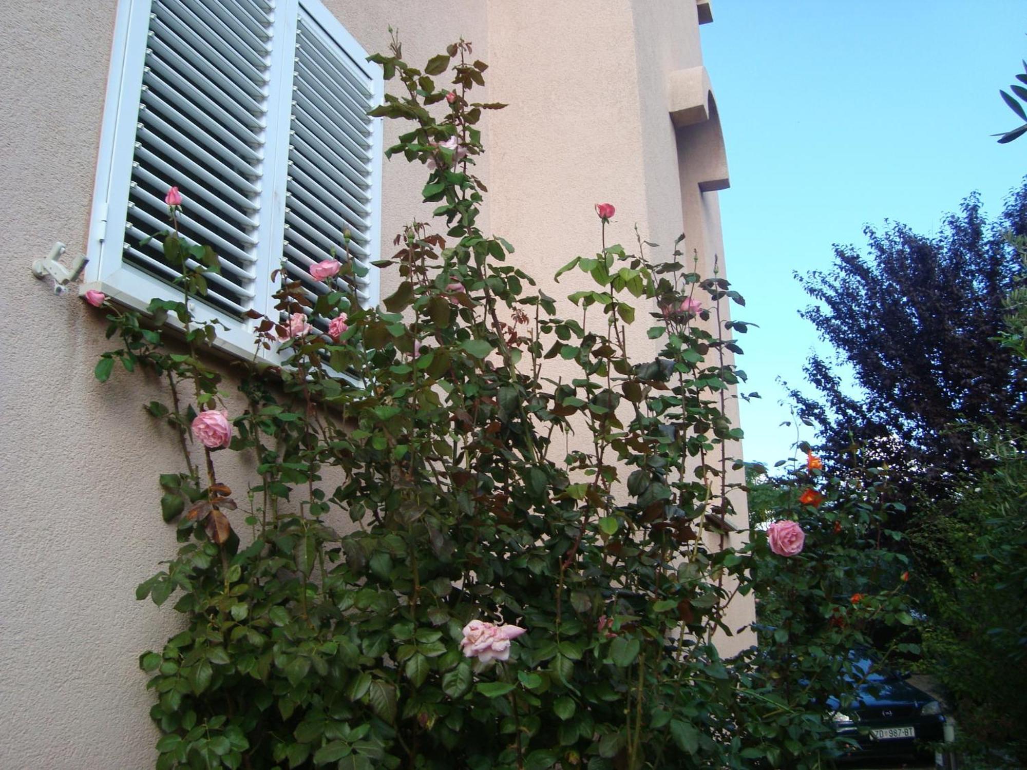 זאדאר Apartments Eja מראה חיצוני תמונה