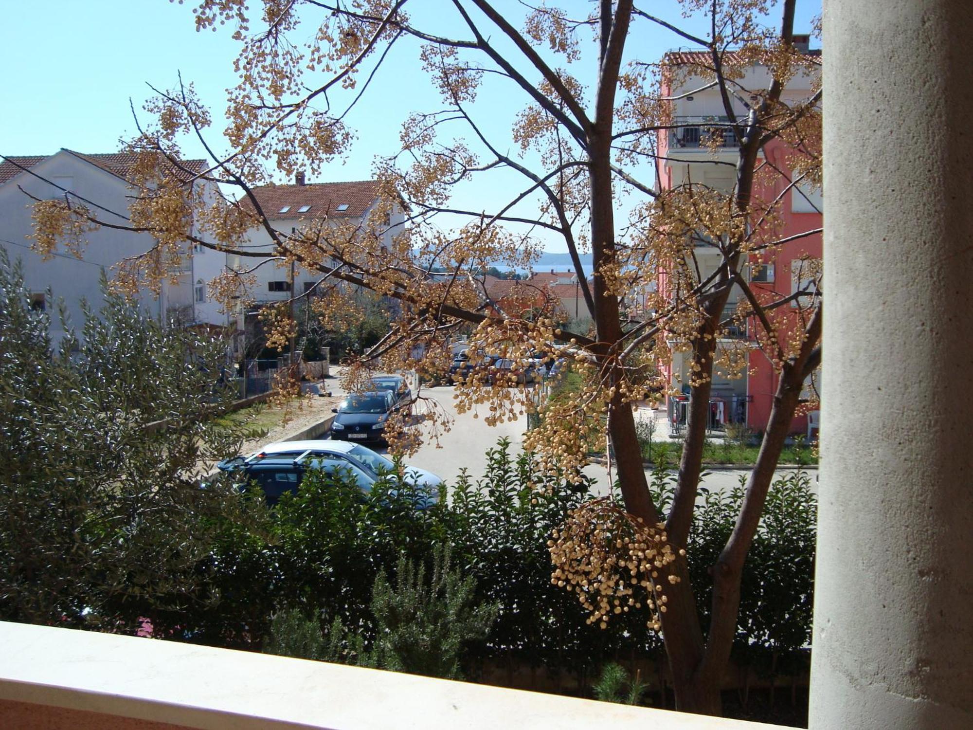 זאדאר Apartments Eja מראה חיצוני תמונה